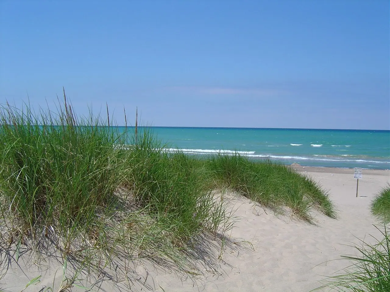 Dune grass framing a sandy Lake Michigan beach and blue water