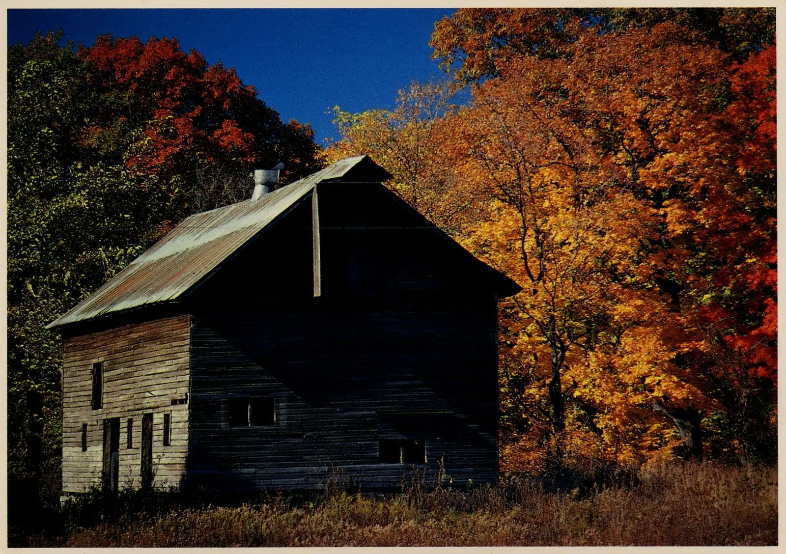 Weathered Chellberg Farm barn among fall color