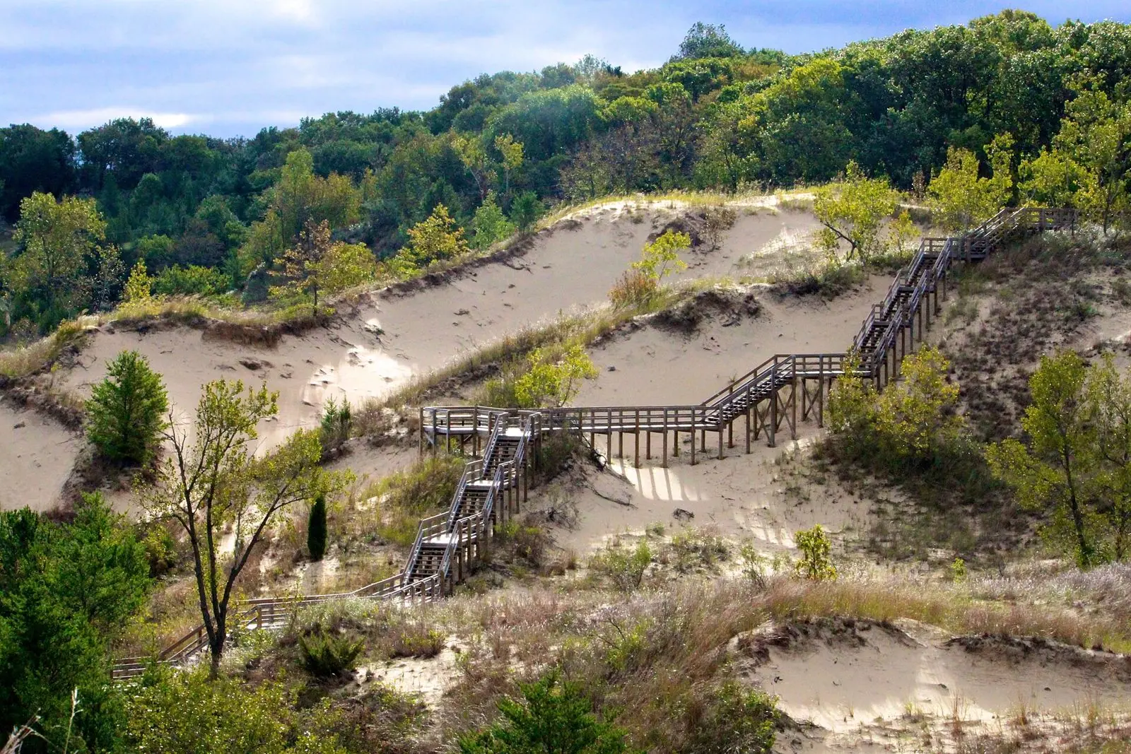The wooden stairs of the Dune Succession Trail climbing through the dunes at West Beach