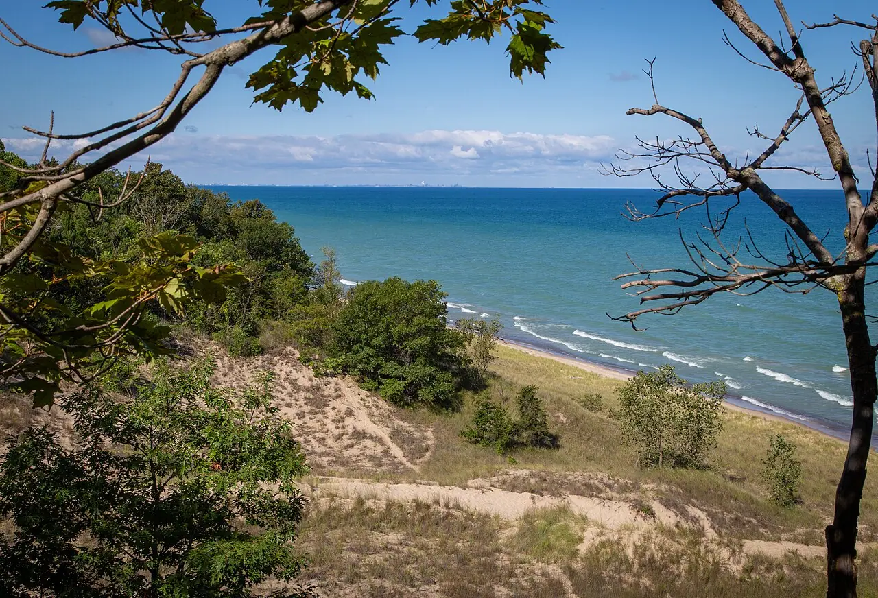 View from a wooded dune top down to the beach and Lake Michigan in the Indiana Dunes