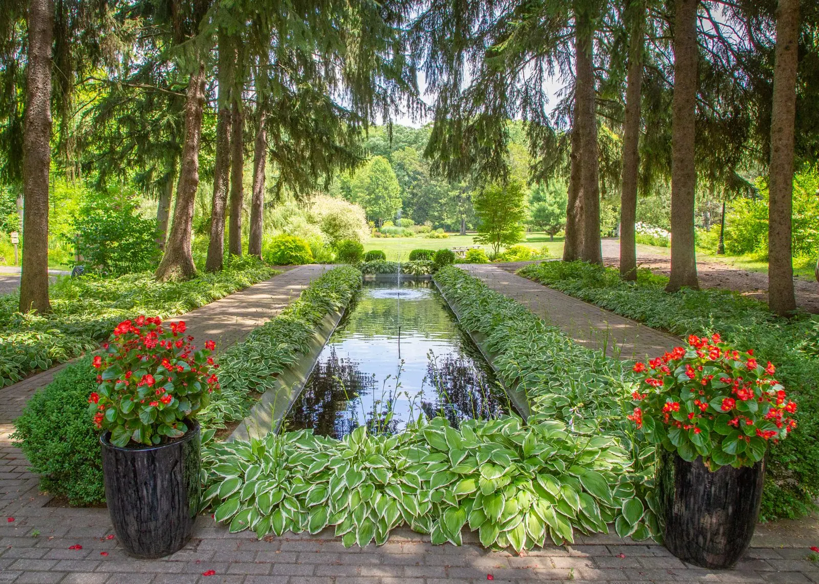 Reflecting pool lined with hostas and red flowers under tall trees at Friendship Botanic Gardens