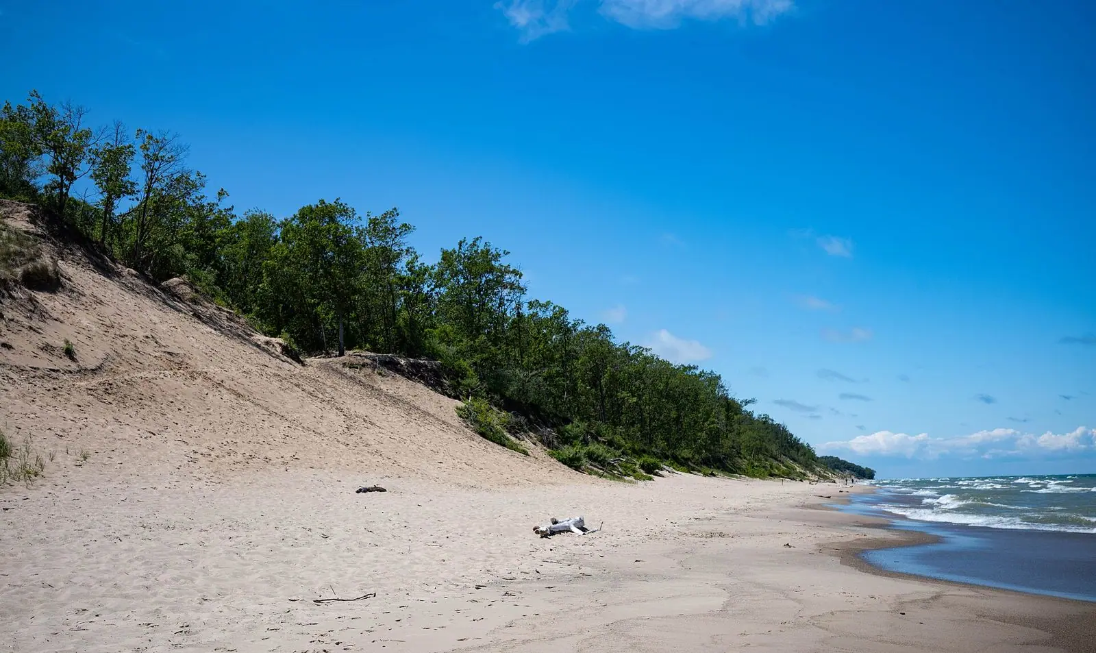 Mount Baldy beach and wooded dune along Lake Michigan