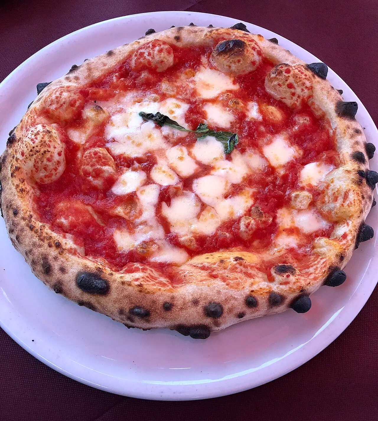 A blistered Neapolitan margherita pizza on a white plate